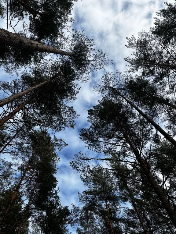 Коттедж Ладожские дюны, комфортный дом с панорамными окнами до 7-ми гостей — Ларионово