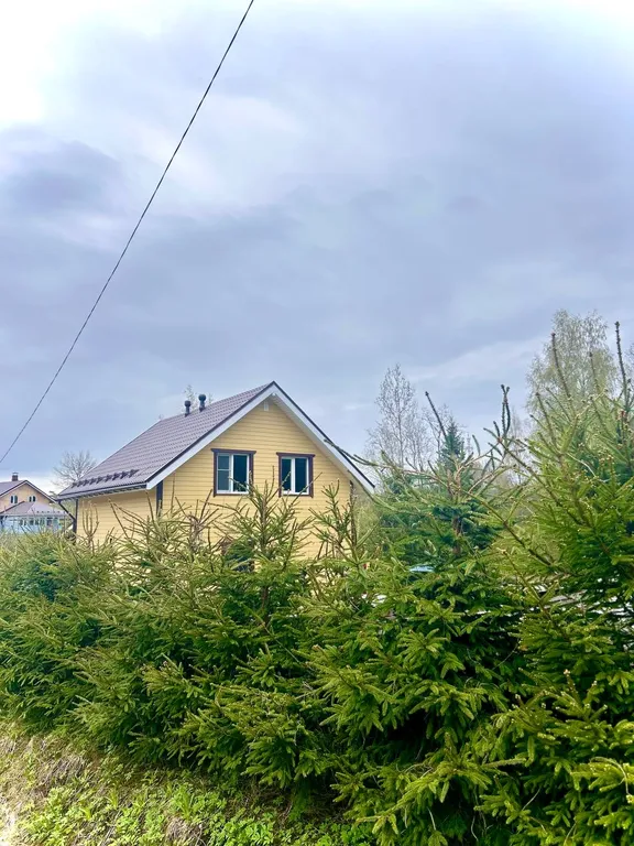 Уютный уголок у леса