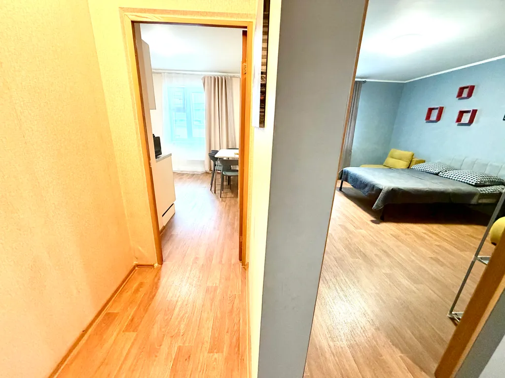 Просторная однокомнатная квартира