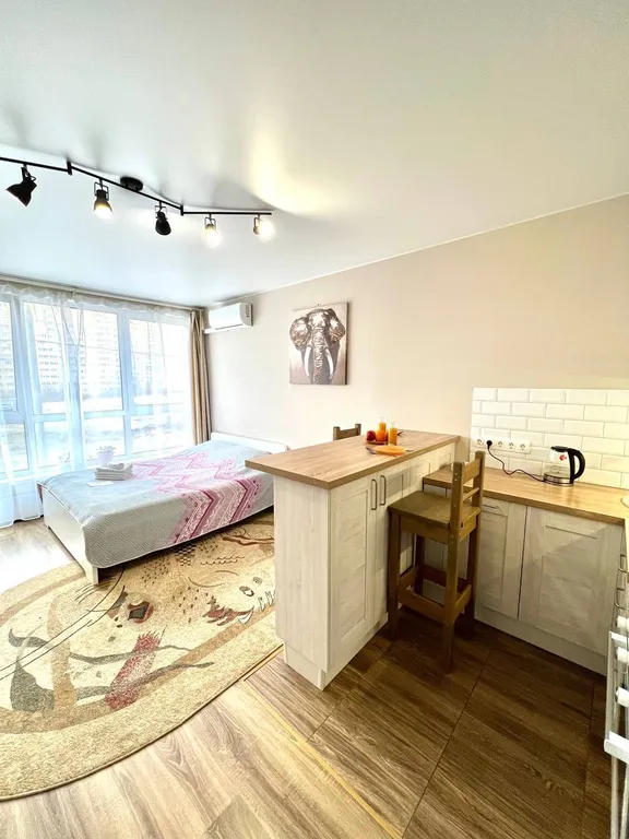 Квартира Просторная студия Африка — аренда посуточно в Королёв