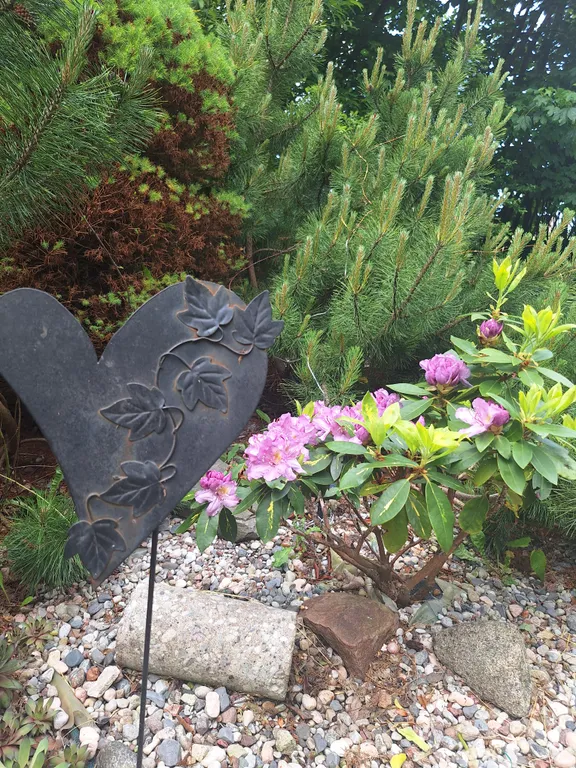 Просторные апартаменты