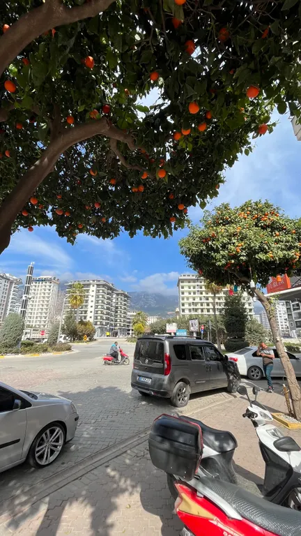 Уютная квартира у Средиземного моря