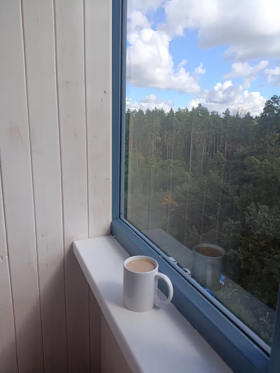 Апартаменты с видом на лес