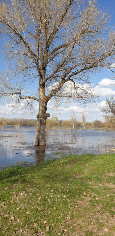 Дача с камином на озёрах