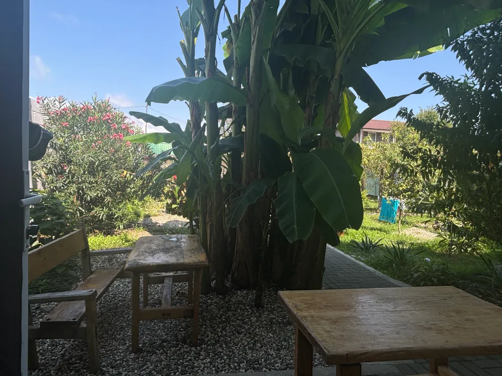 Квартира Квартира Двухместный номер стандарт на 1 этаже с отдельным входом — Сухум