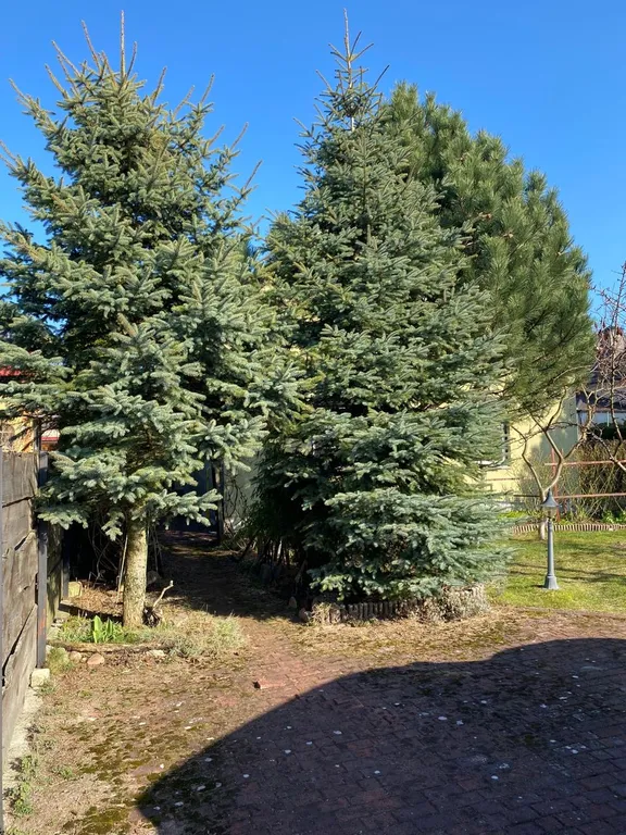 Дом для отдыха Майя возле моря