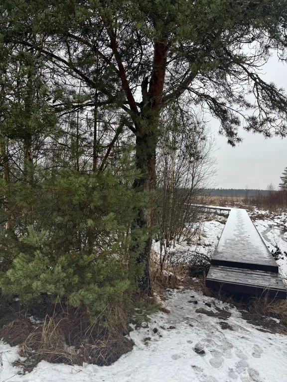 Коттедж Ладога Life — Коккорево