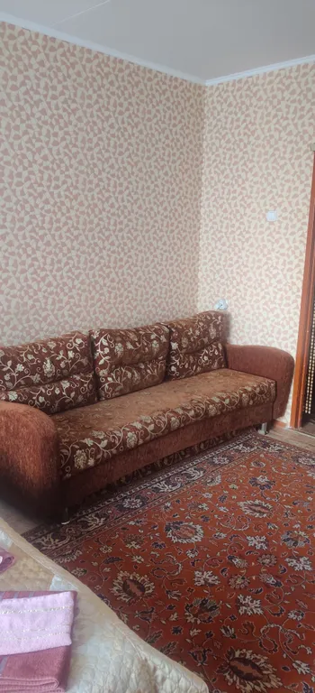 Уютная однокомнатная квартира