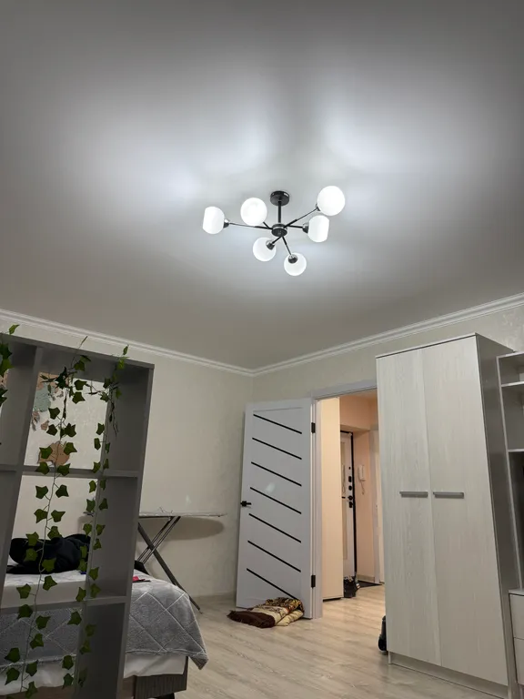 Светлая просторная однокомнатная квартира