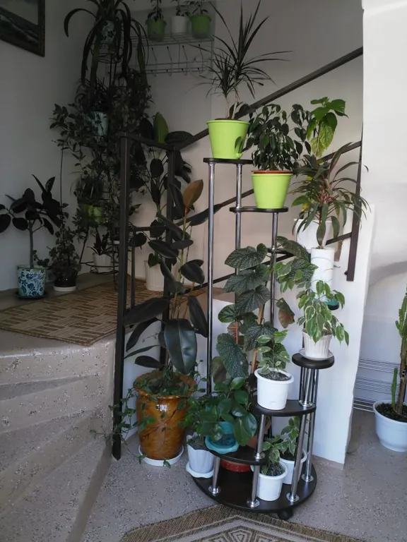 Квартира Частный сектор, комната в центральной части города — Анапа