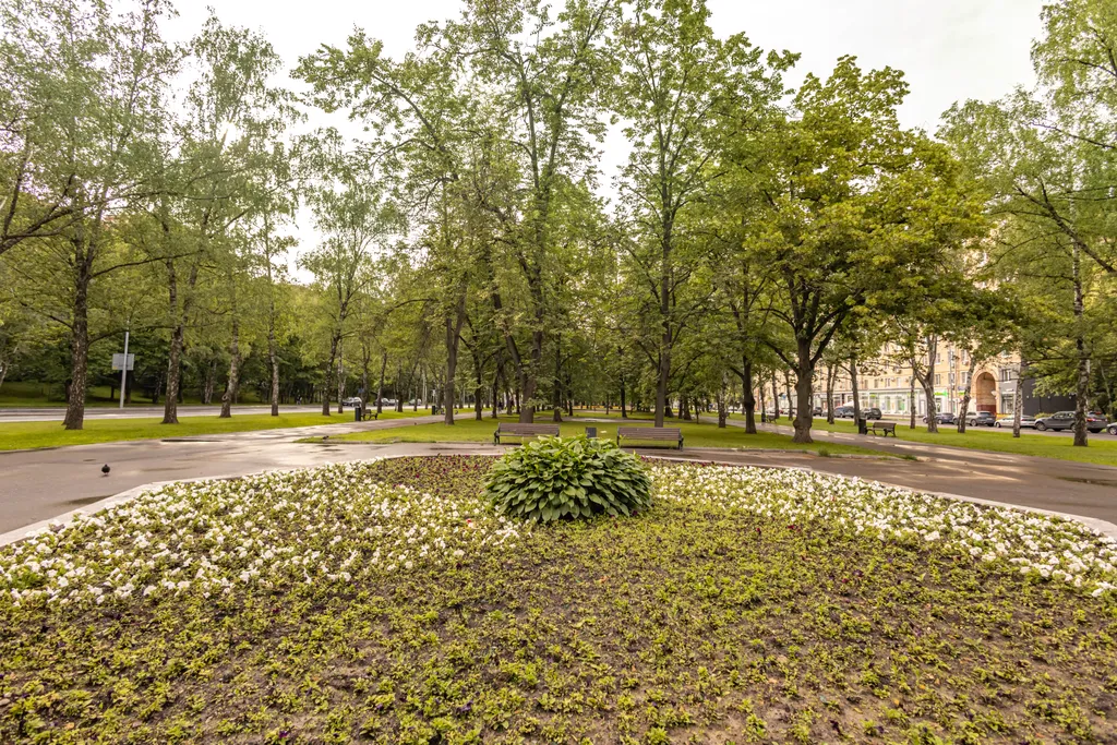 Квартира Уютная, светлая, чистая квартира — Москва