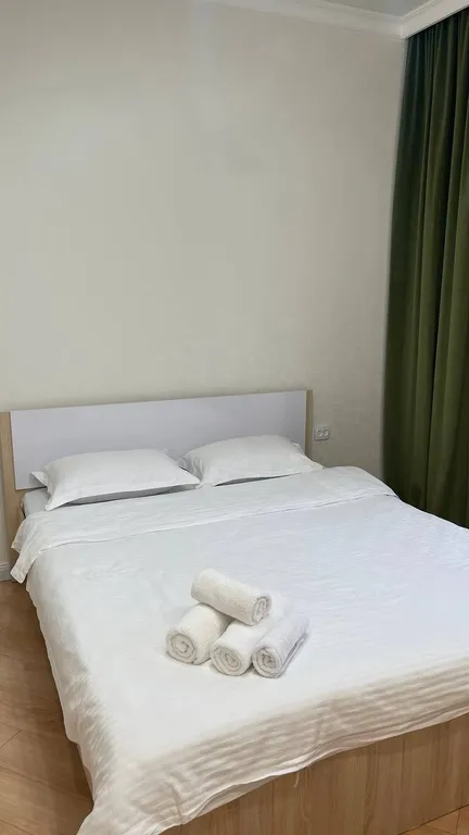 Комфортные апартаменты в центре Астаны