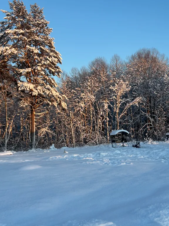 Дом Karelia Haus Онежский берег