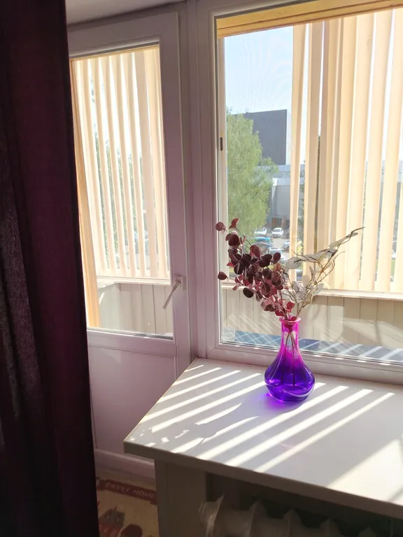 Квартира через дорогу от Терм