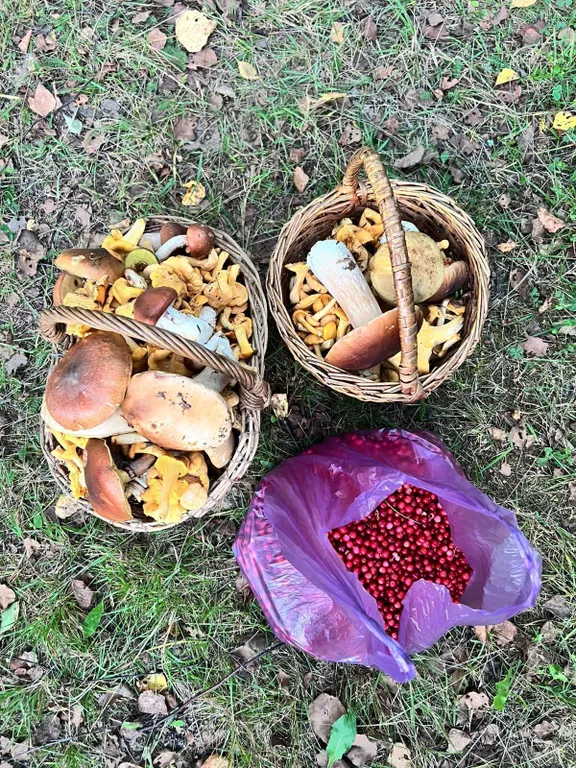 Уютный дом с чаном Эко дуб