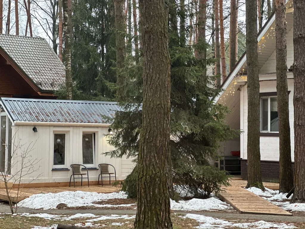 Загородный дом в соснах недалеко от Москвы