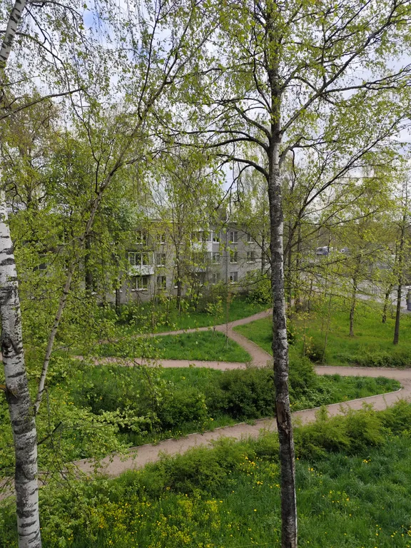 Уютная, светлая квартира