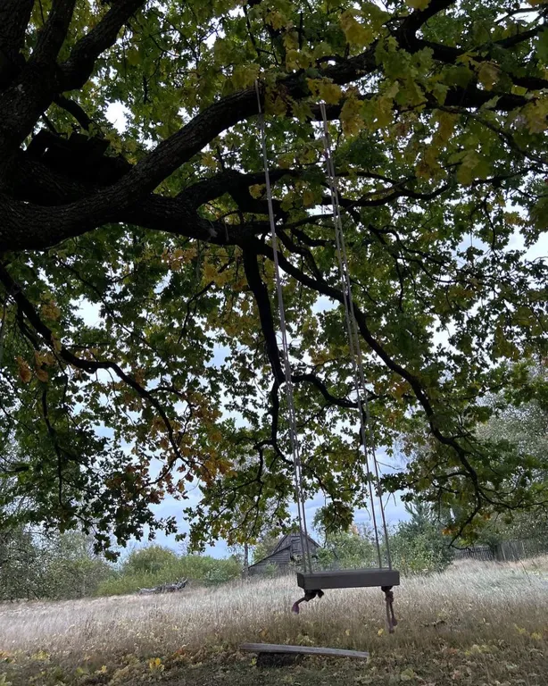 Шале Можжевеловое