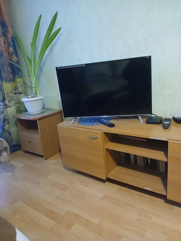 Квартира Уютная квартира на Пионерском — Екатеринбург