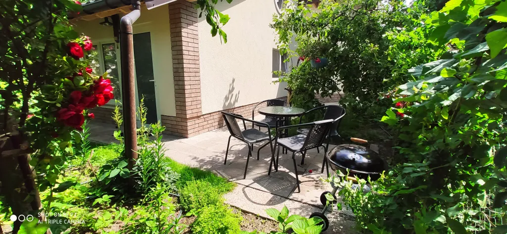 Светлая и просторная студия в чудесном саду для отдыха под шум моря