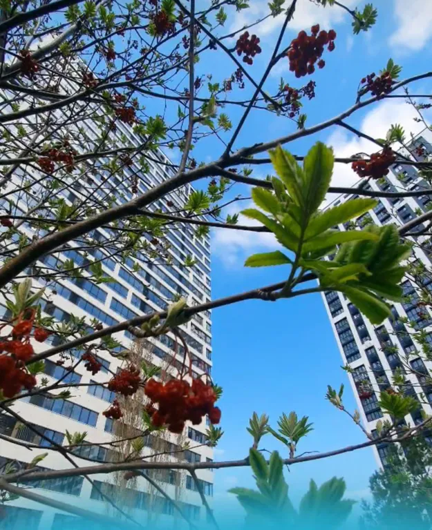 Квартира-пентхаус с высокими потолками