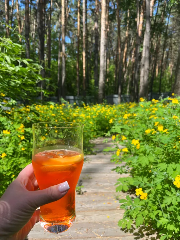 Дом отдыха Чернаков с видом на лес