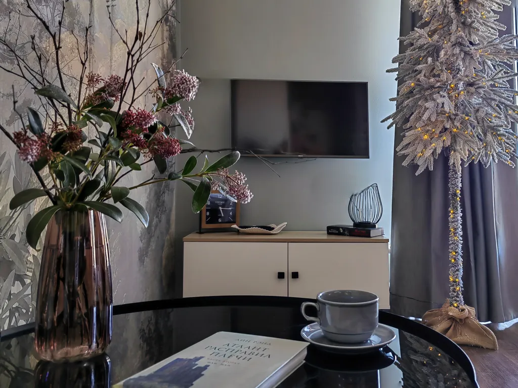 Полёт стрижа с залипательным видом и балконом