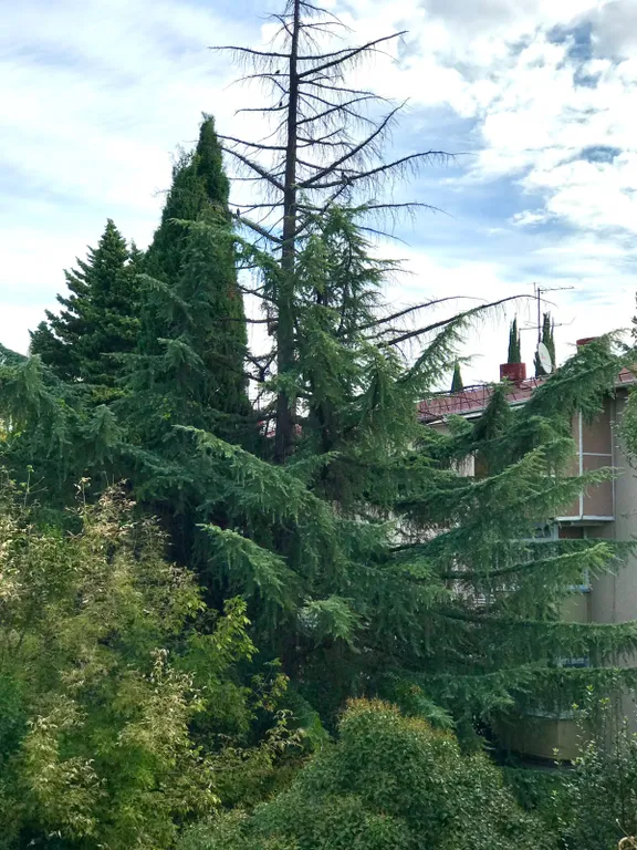 Уютные апартаменты