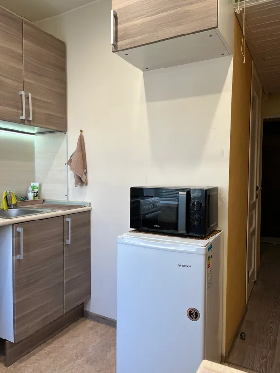 Грин Дрим (Green dream), уютная, душевная квартира в центре города