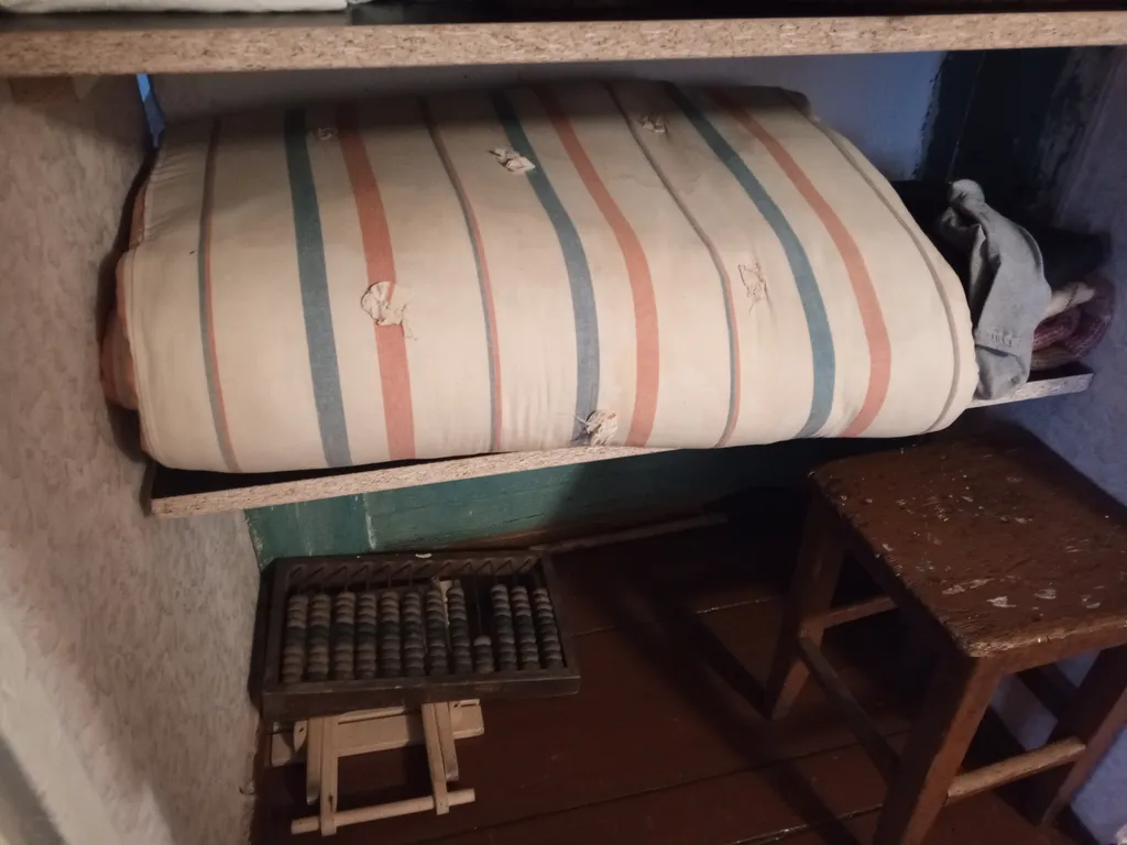 Дом на берегу Волги в старокупеческом селе