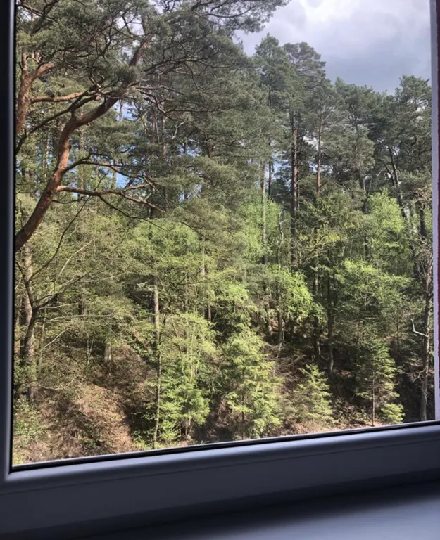 Уютная квартира у озера с видом на лес