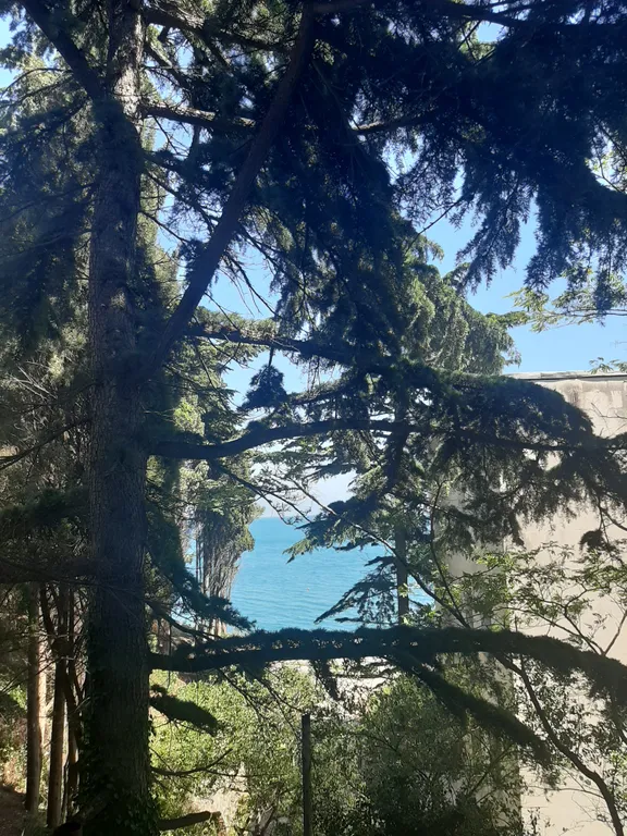 Апартаменты у моря с видом на море