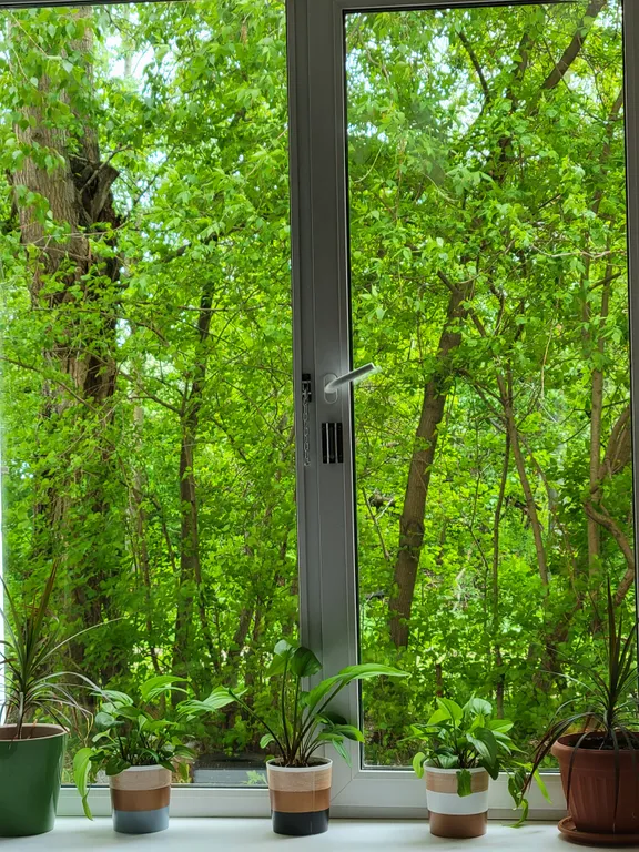 Уютная мини-студия для отдыха и сна в шаговой доступности от аэропорта