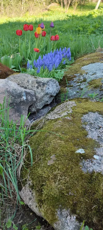 Коттедж Тёплый коттедж с баней на очень большой уединённой территории — Кротово