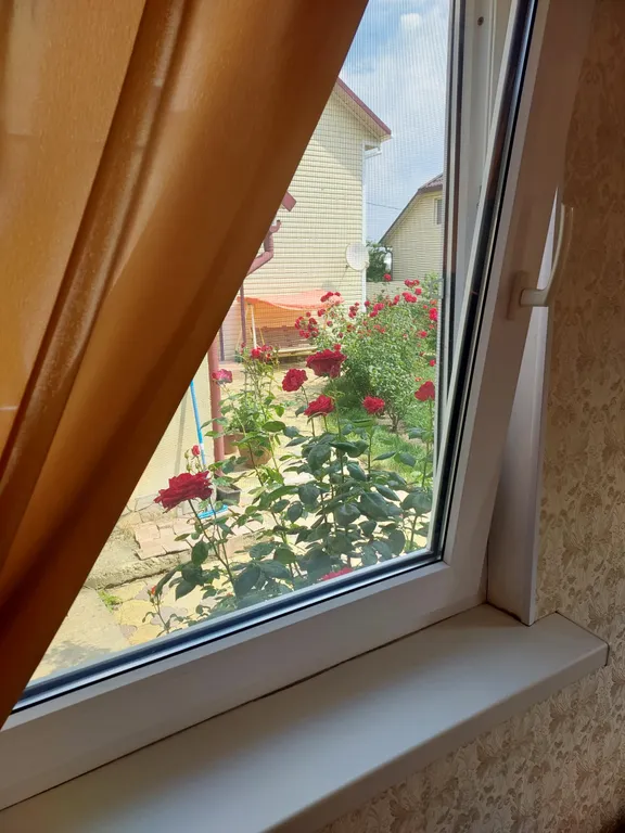 Уютный домик в окружении зелени