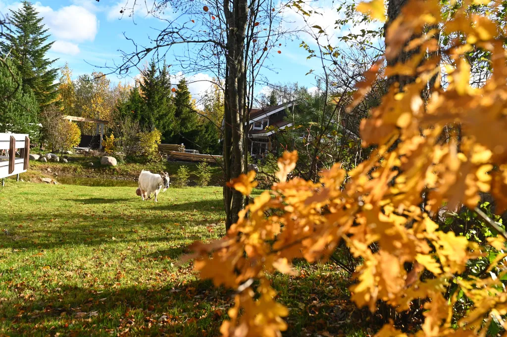 Коттедж 3-комнатный Дом — Коробицыно