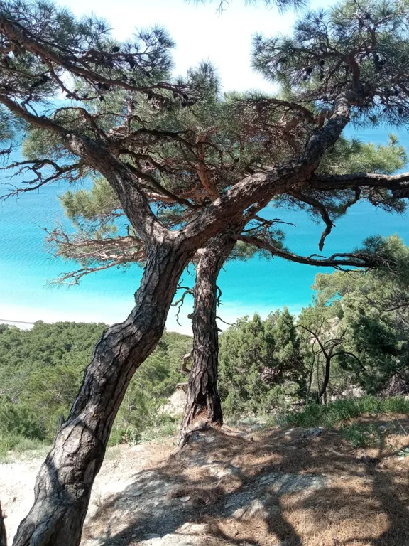 Новая уютная 1-комнатная квартира в Холидей Хаус