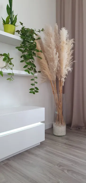 Новая квартира у залива, Лахта, парк, парковка, Аквапарк