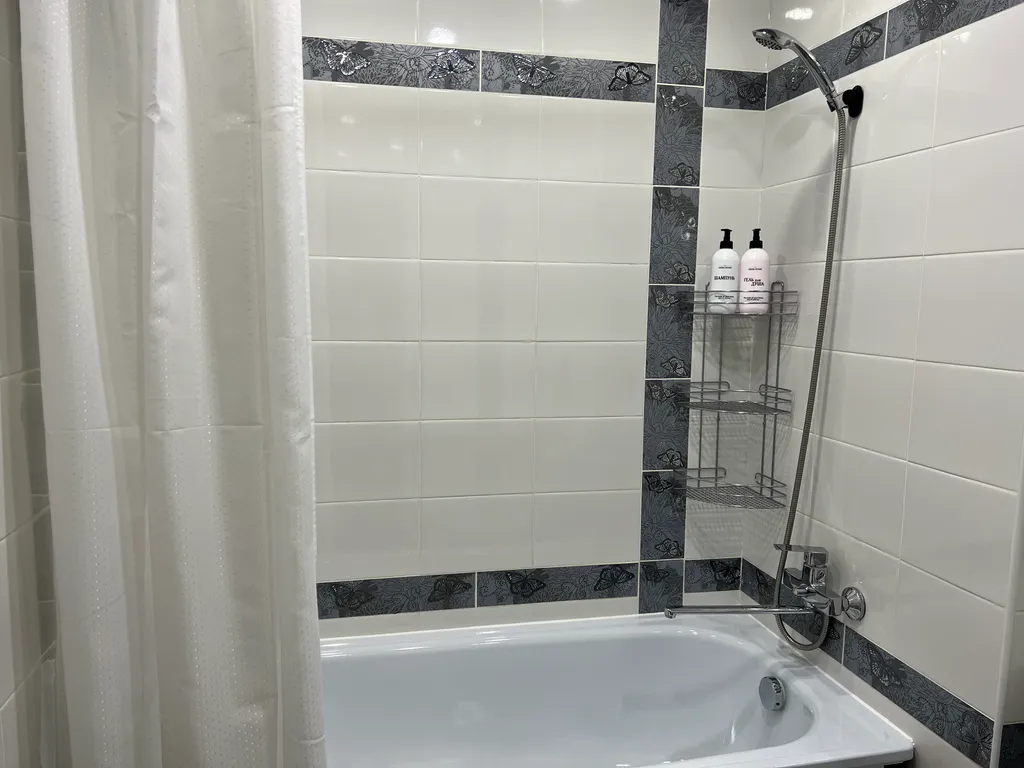 Апартамент бизнес класс в центре