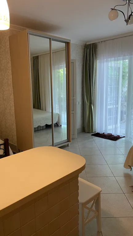 Студия со всеми удобствами и кухней