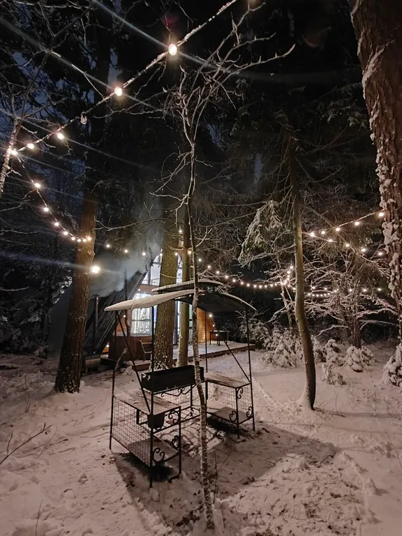 Большой уютный дом в лесу