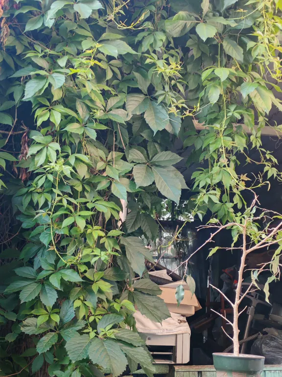 Старинный дом музей