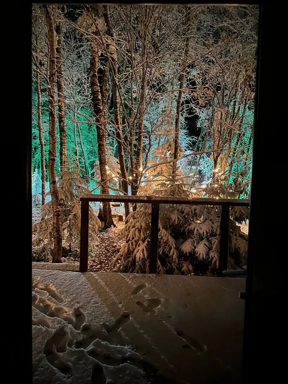 Шале в лесу в Подмосковье