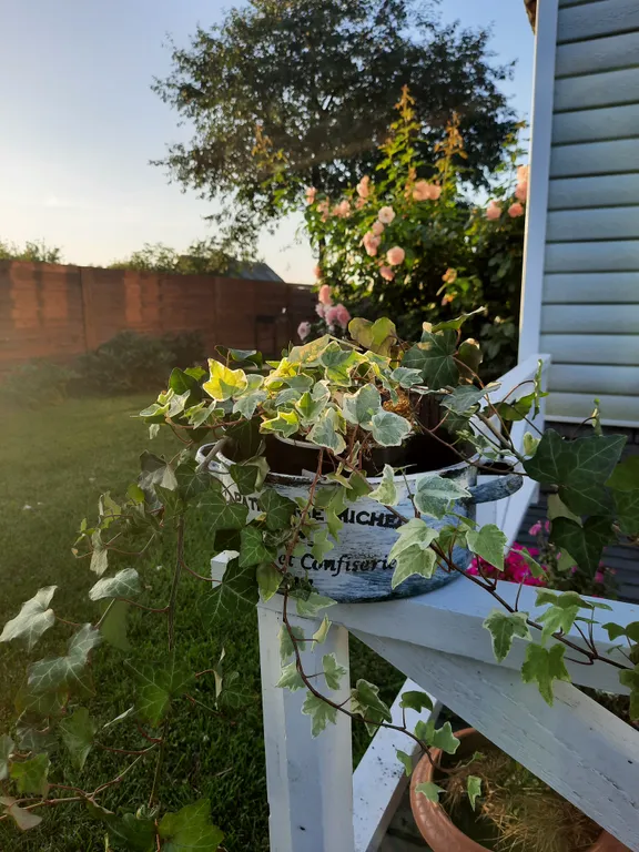 Усадьба со всеми удобствами