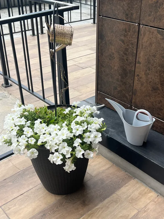 Квартира Квартира Комфортабельная студия с собственной террасой возле Планеты — Красноярск