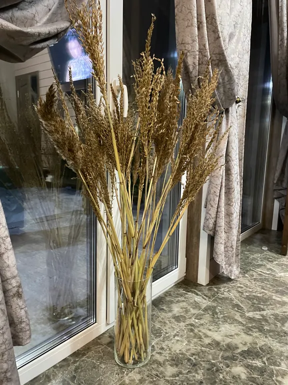 Уютный барн V igolkah