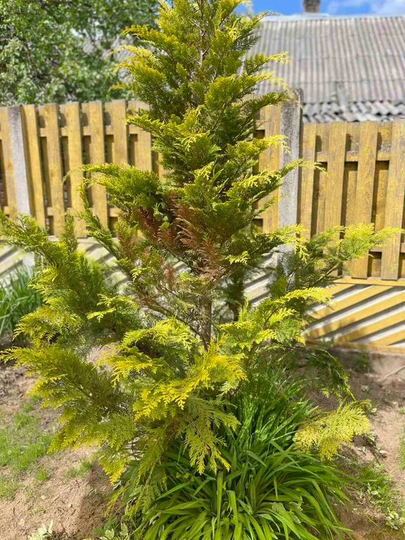 Дом-баня у озера оконо (15 км от г. Лепель)