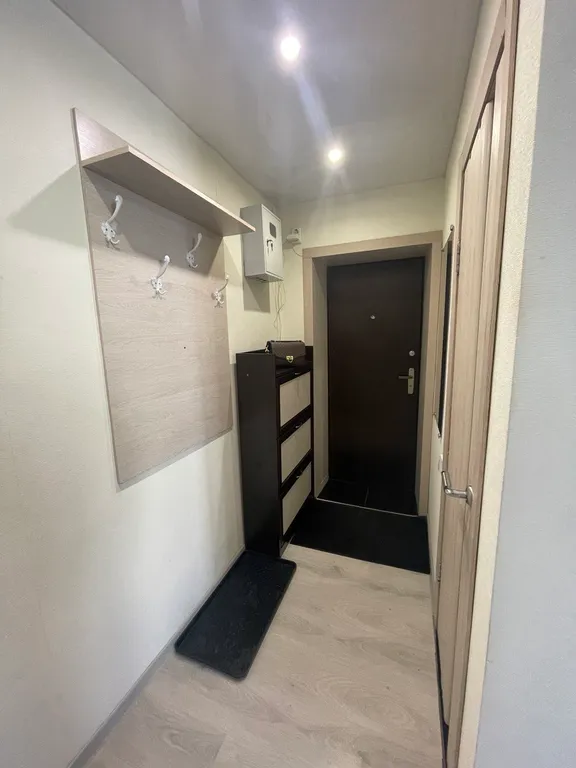 Однокомнатная квартира в центре города