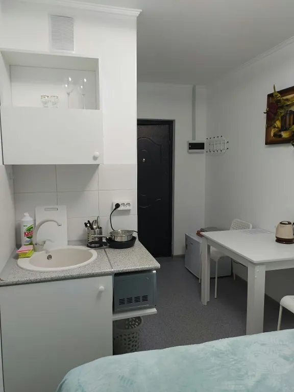 Одна из четырех в квартире мини-студия Бирюза