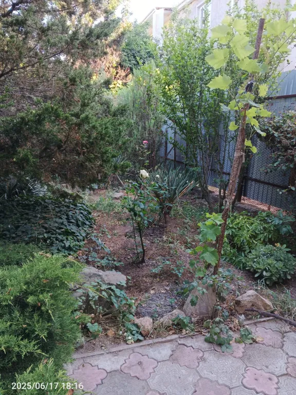 Коттедж с видом на морской залив